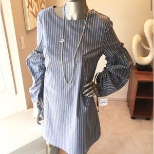 Chambray Pinstripe Adjustable Long Sleeve Dress
